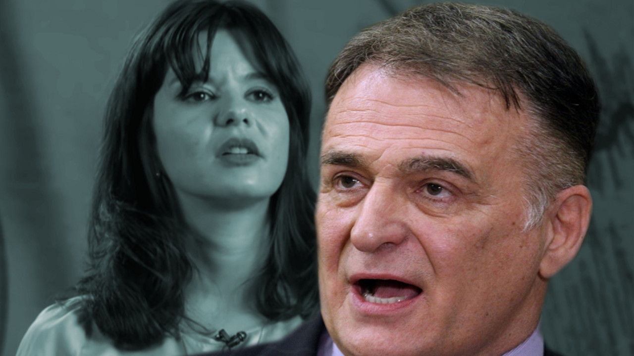 Danijela Štajnfeld, Branislav Lečić
