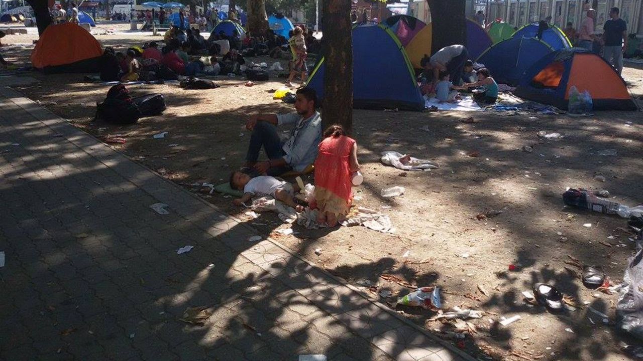 migranti