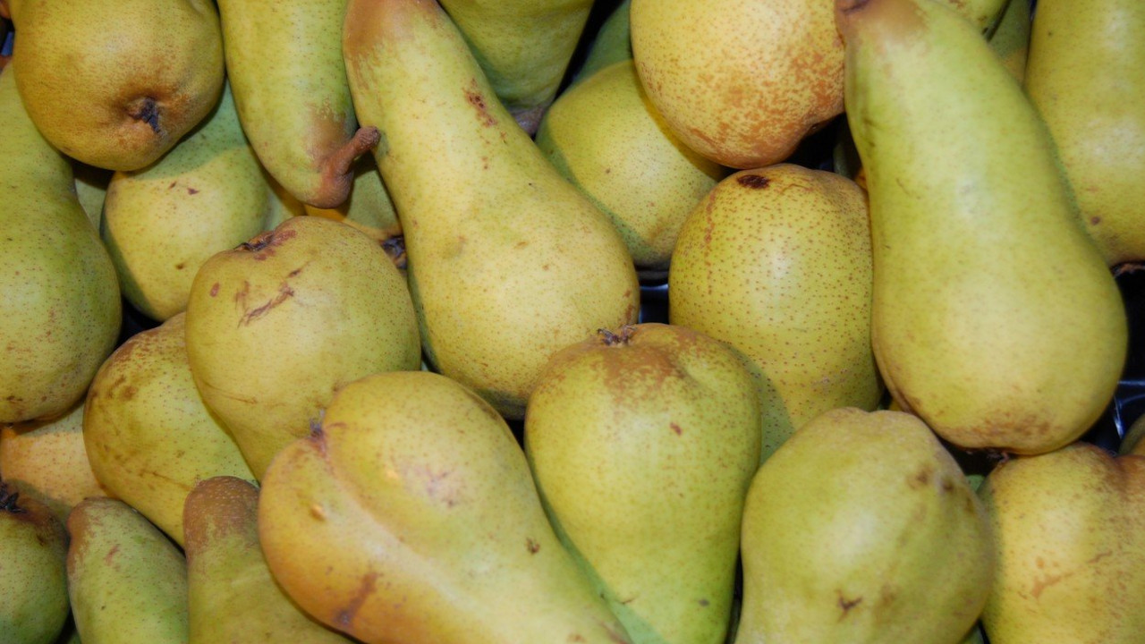 Kruške