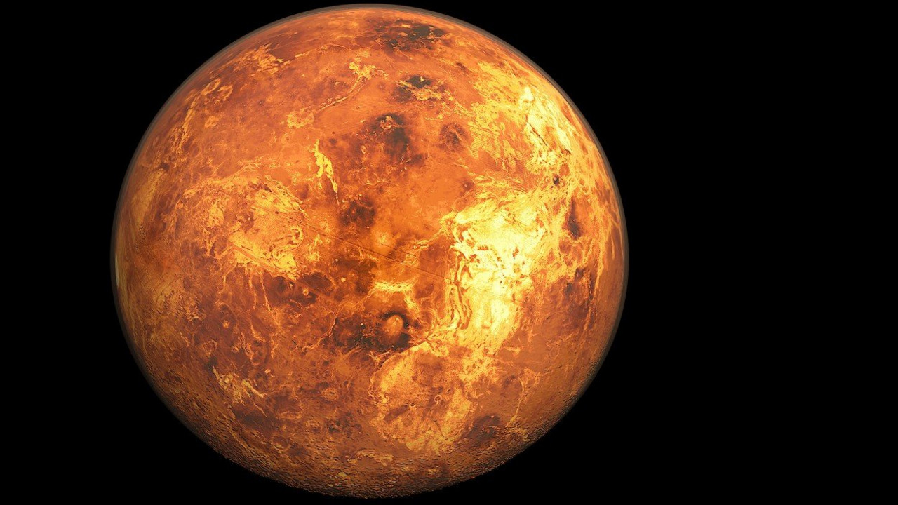 Venera