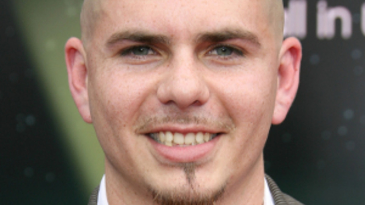 Pit Bul