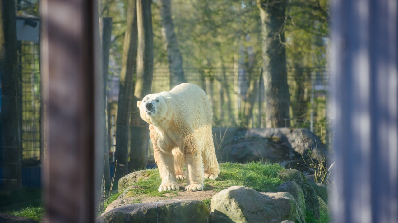 Zoo vrt