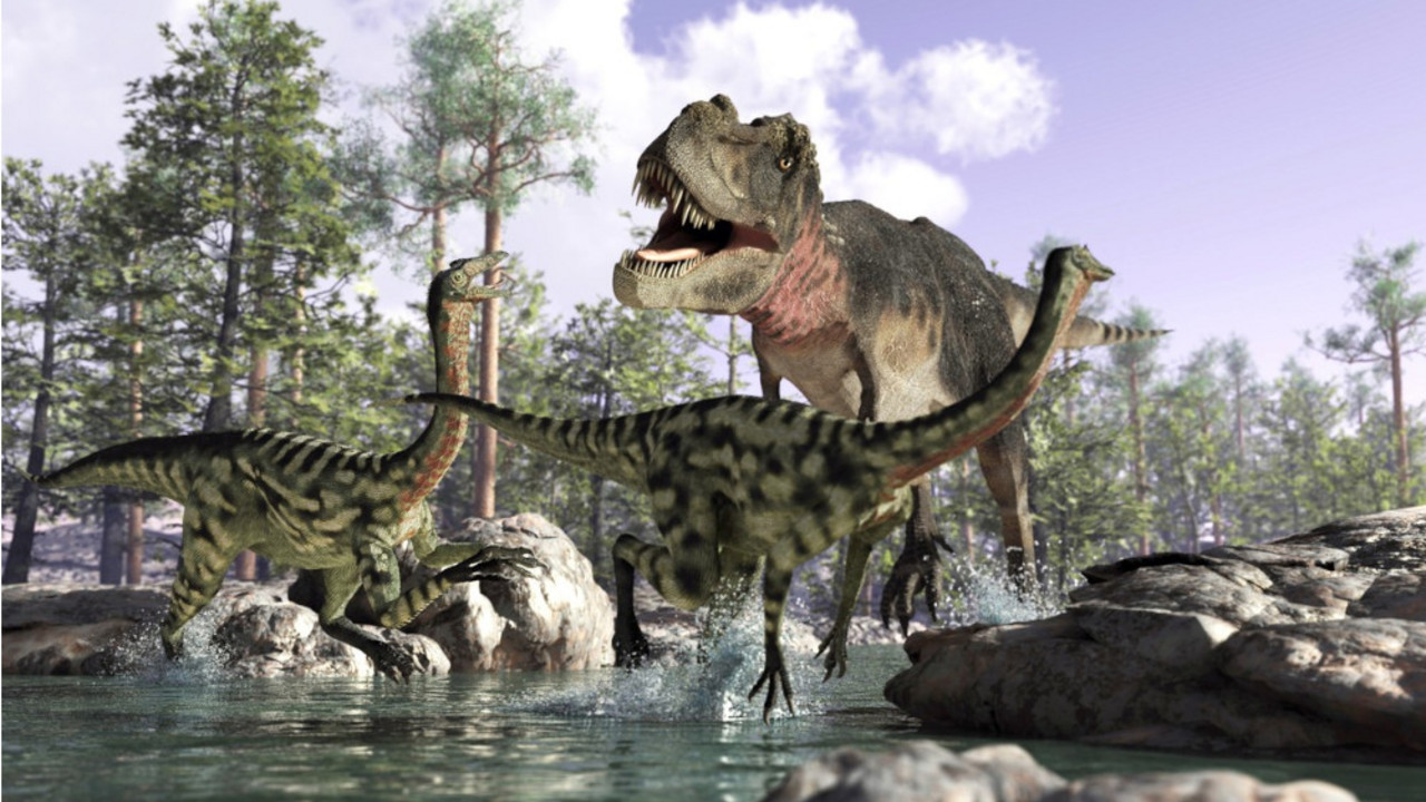 dinosaurusi