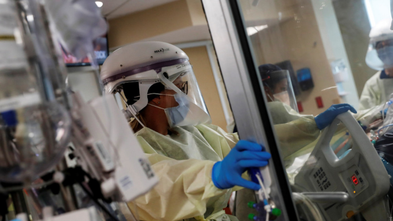 korona virus