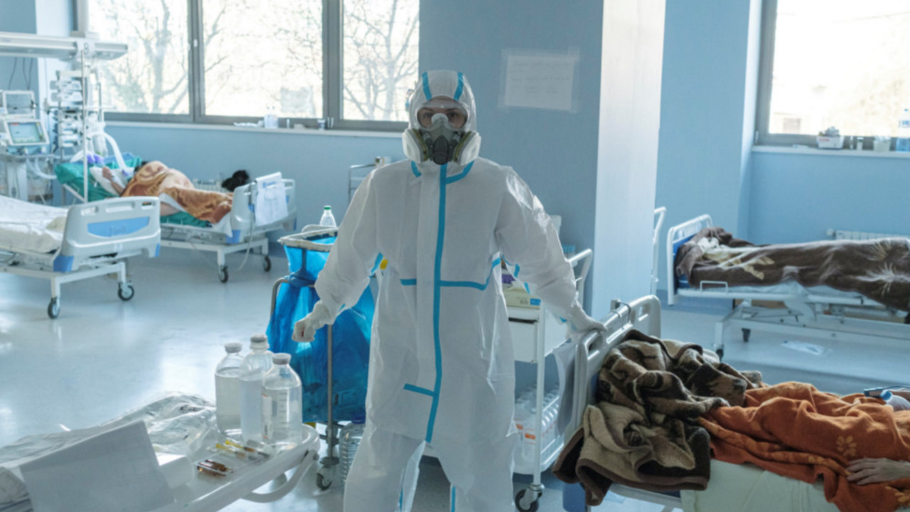 korona virus