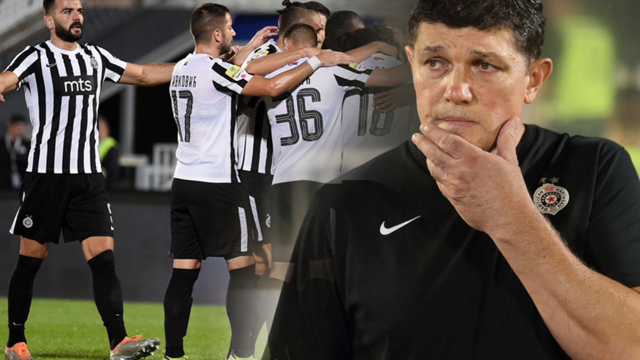 Gordan Petrić, FK Partizan