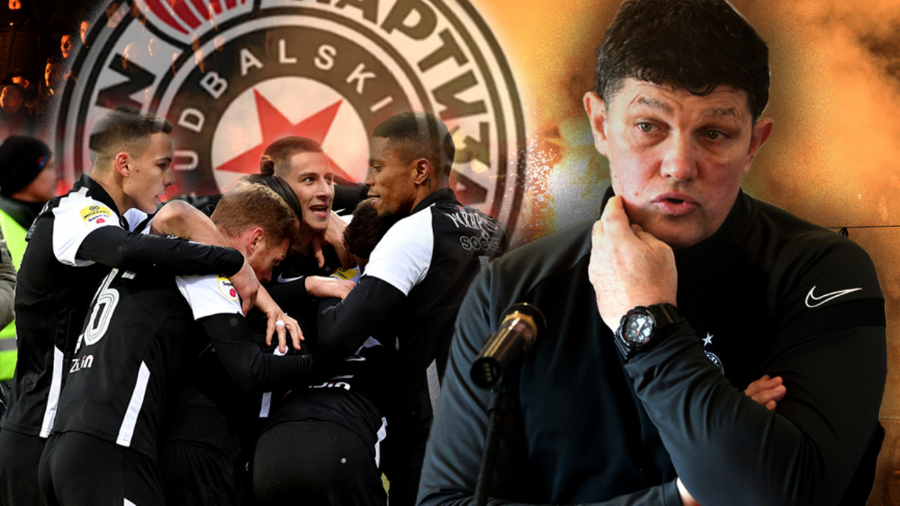 Gordan Petrić, FK Partizan