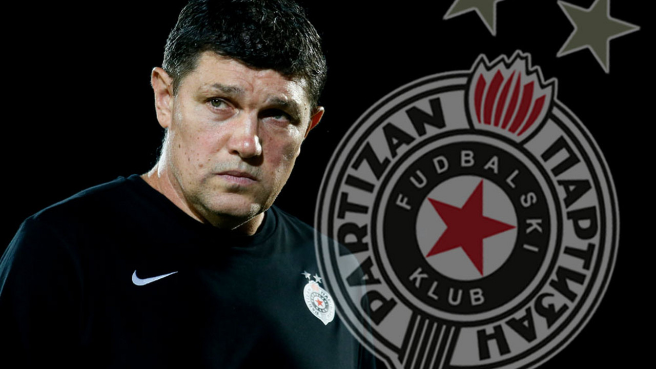Gordan Petrić, FK Partizan