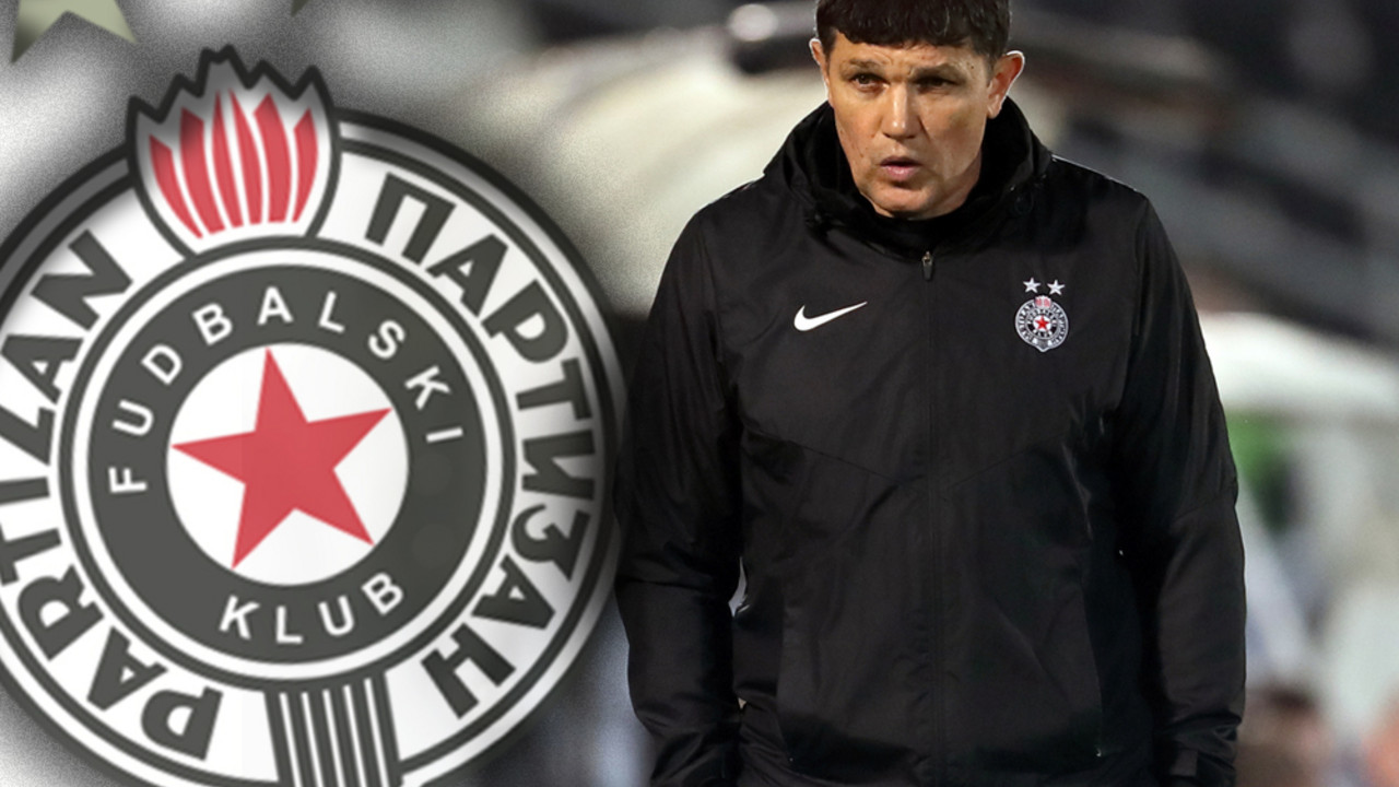 Gordan Petrić, FK Partizan