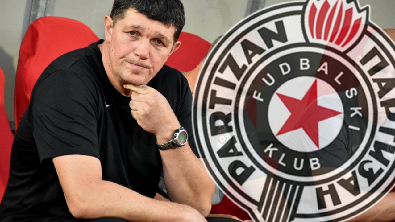 Gordan Petrić, FK Partizan