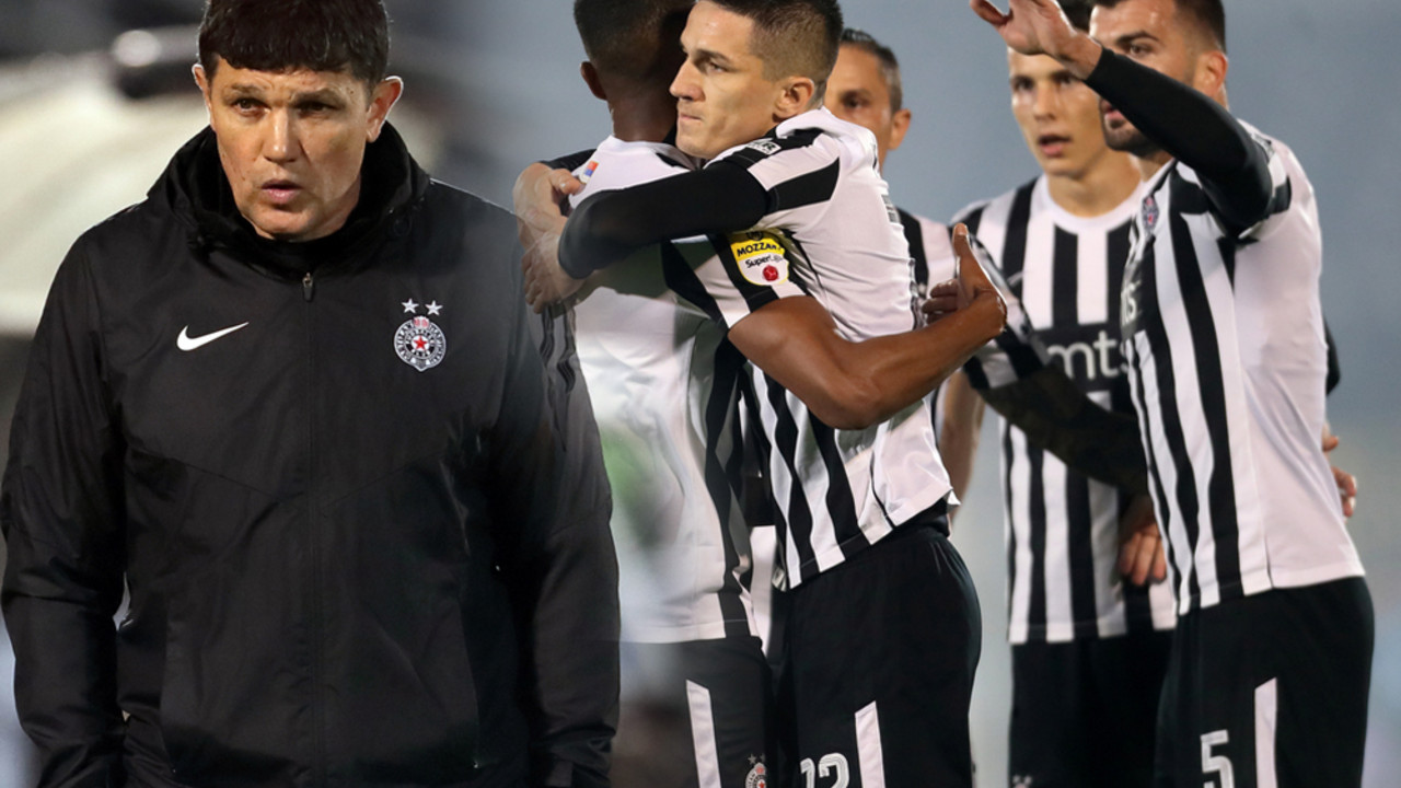 Gordan Petrić, FK Partizan
