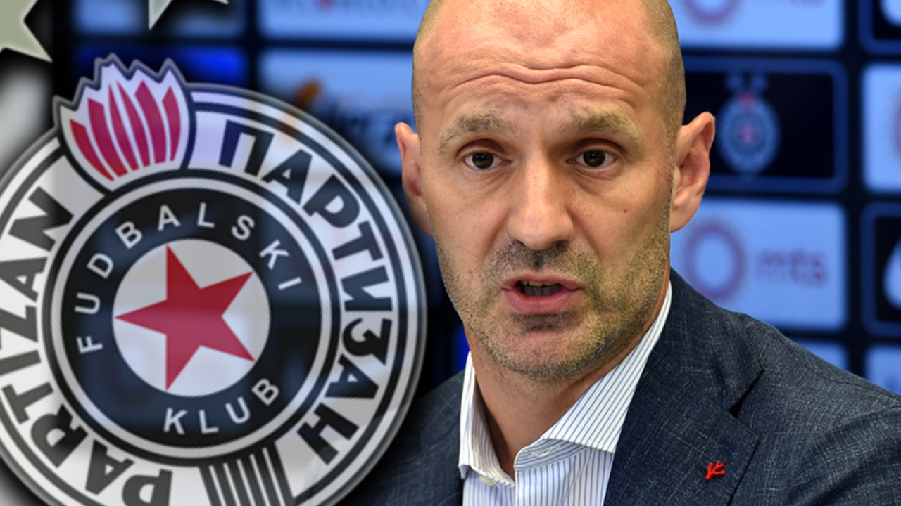 Ilija Stolica, FK Partizan