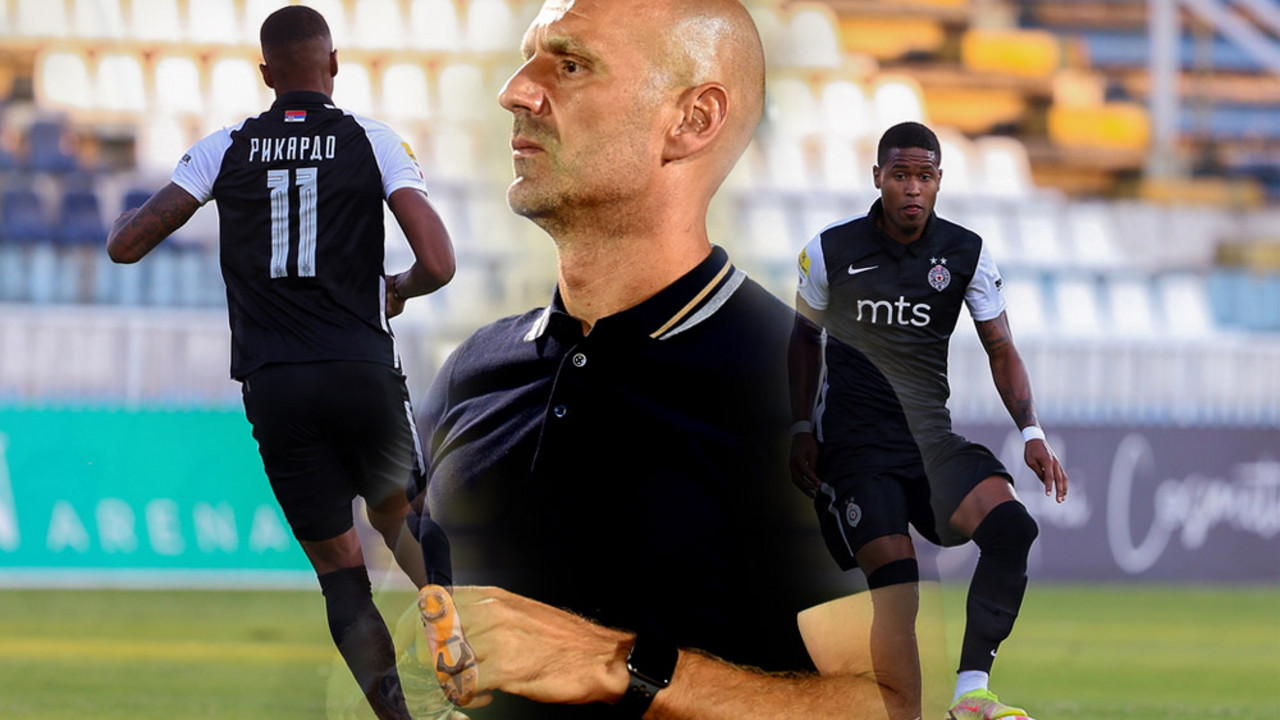 Ilija Stolica, FK Partizan