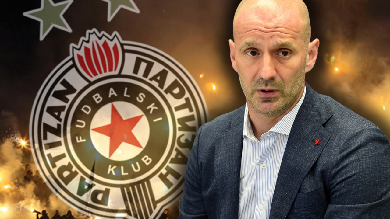 Ilija Stolica, FK Partizan