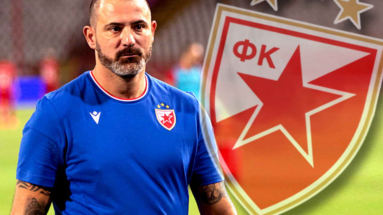Dejan Stanković, FK Crvena zvezda