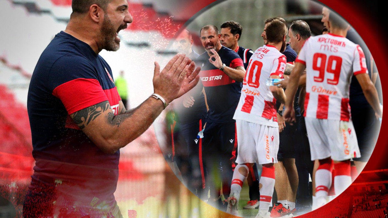 Dejan Stanković, FK Crvena zvezda