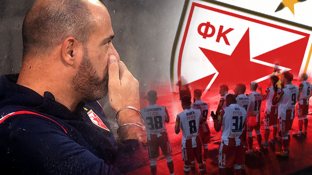 Dejan Stanković, FK Crvena zvezda