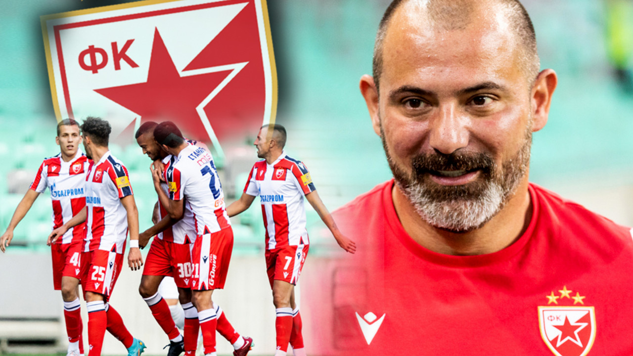 Dejan Stanković, FK Crvena zvezda