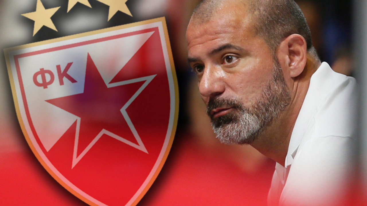 Dejan Stanković, FK Crvena zvezda