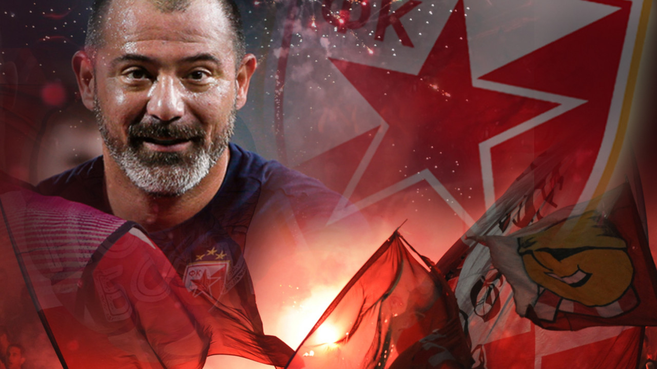Dejan Stanković, FK Crvena zvezda