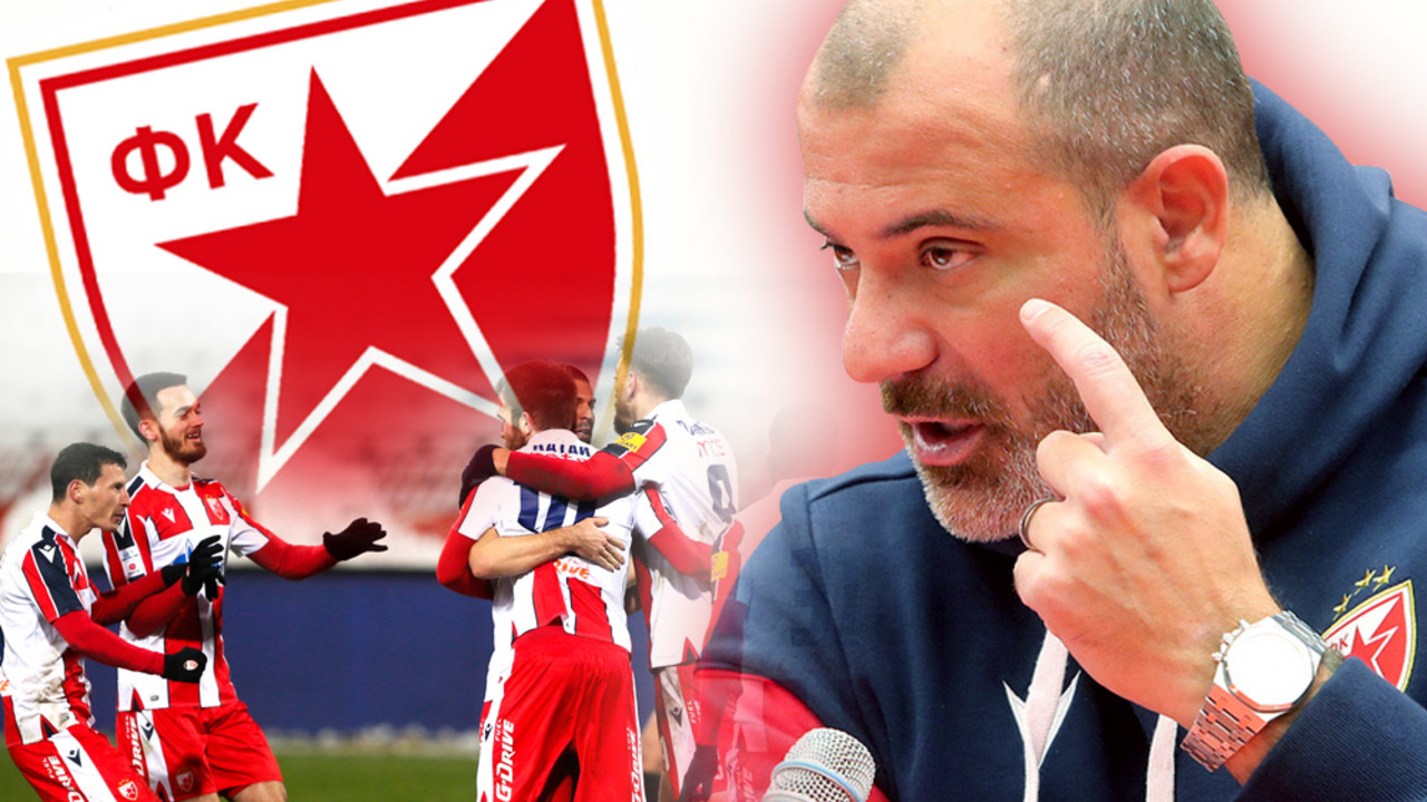 Dejan Stanković, FK Crvena zvezda