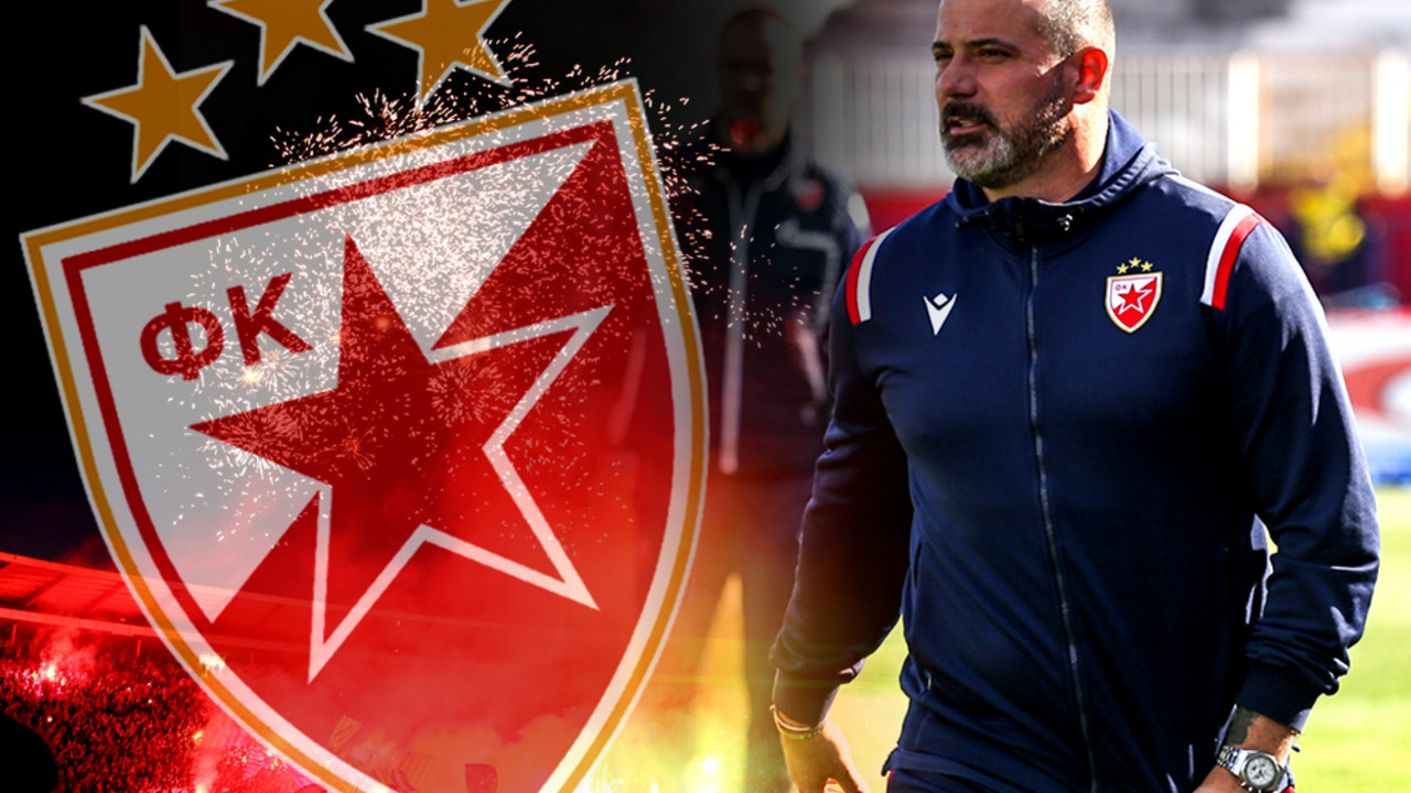 Dejan Stanković, FK Crvena zvezda