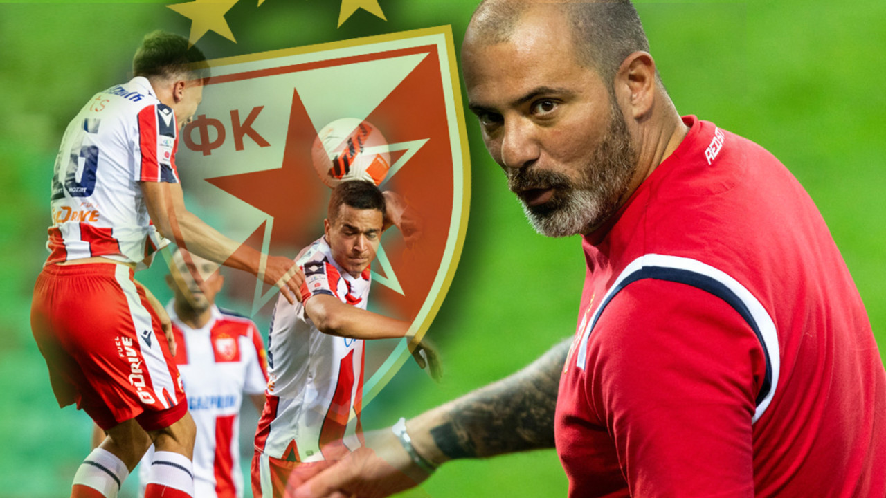 Dejan Stanković, FK Crvena zvezda