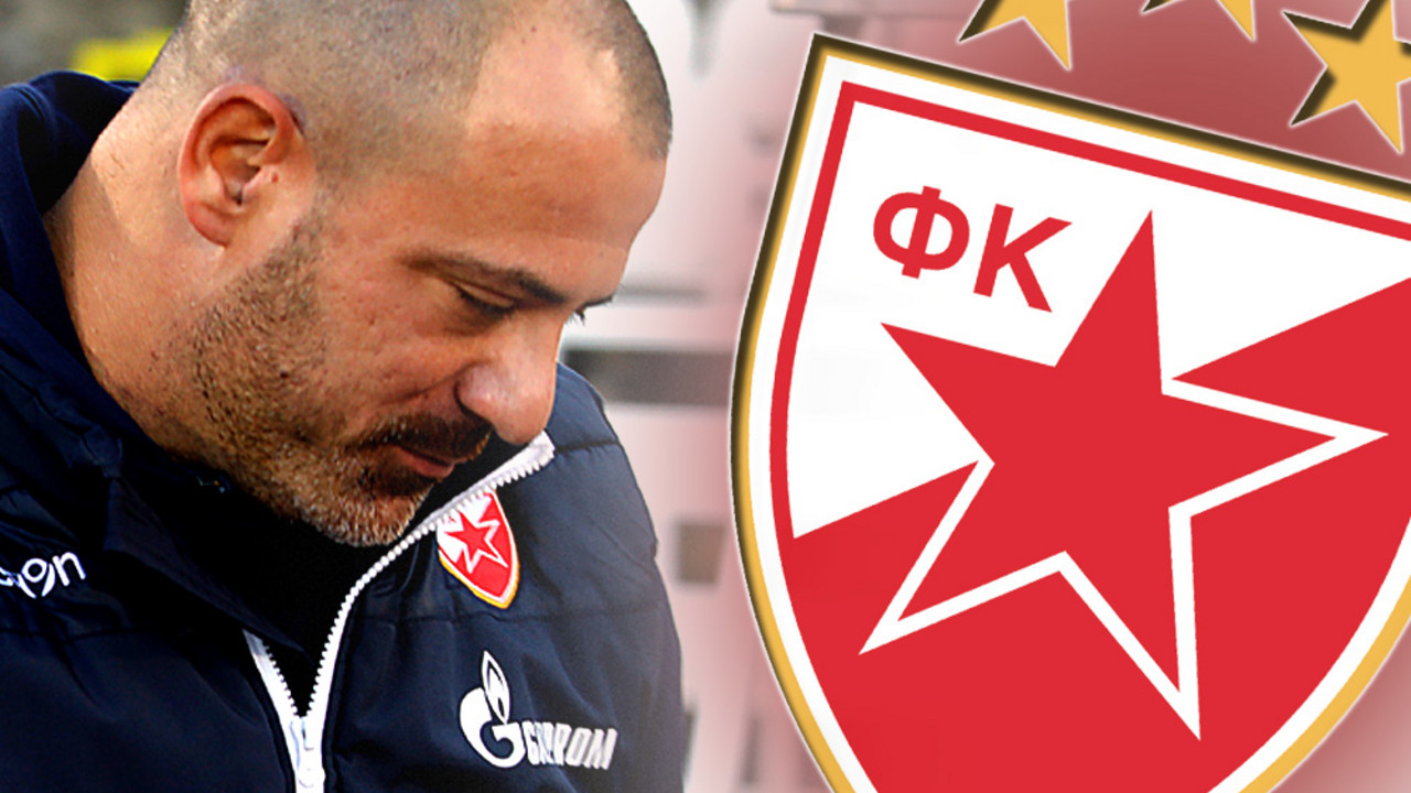 Dejan Stanković, FK Crvena zvezda