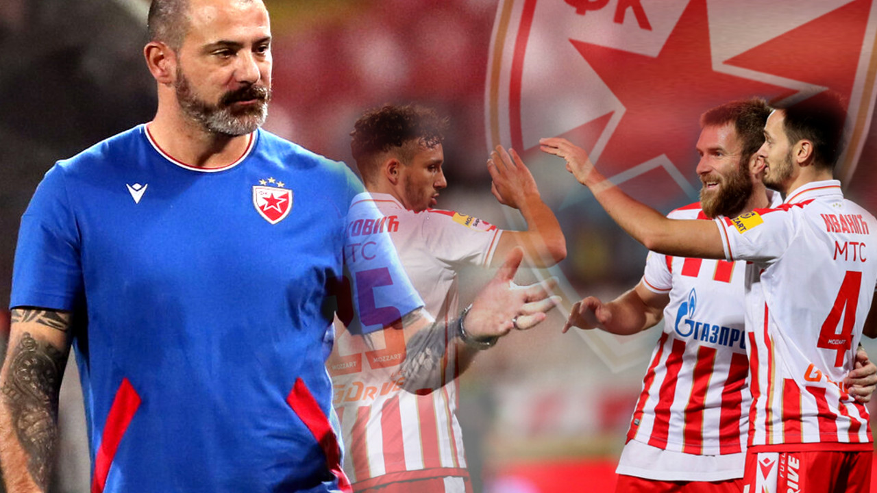 Dejan Stanković, FK Crvena zvezda