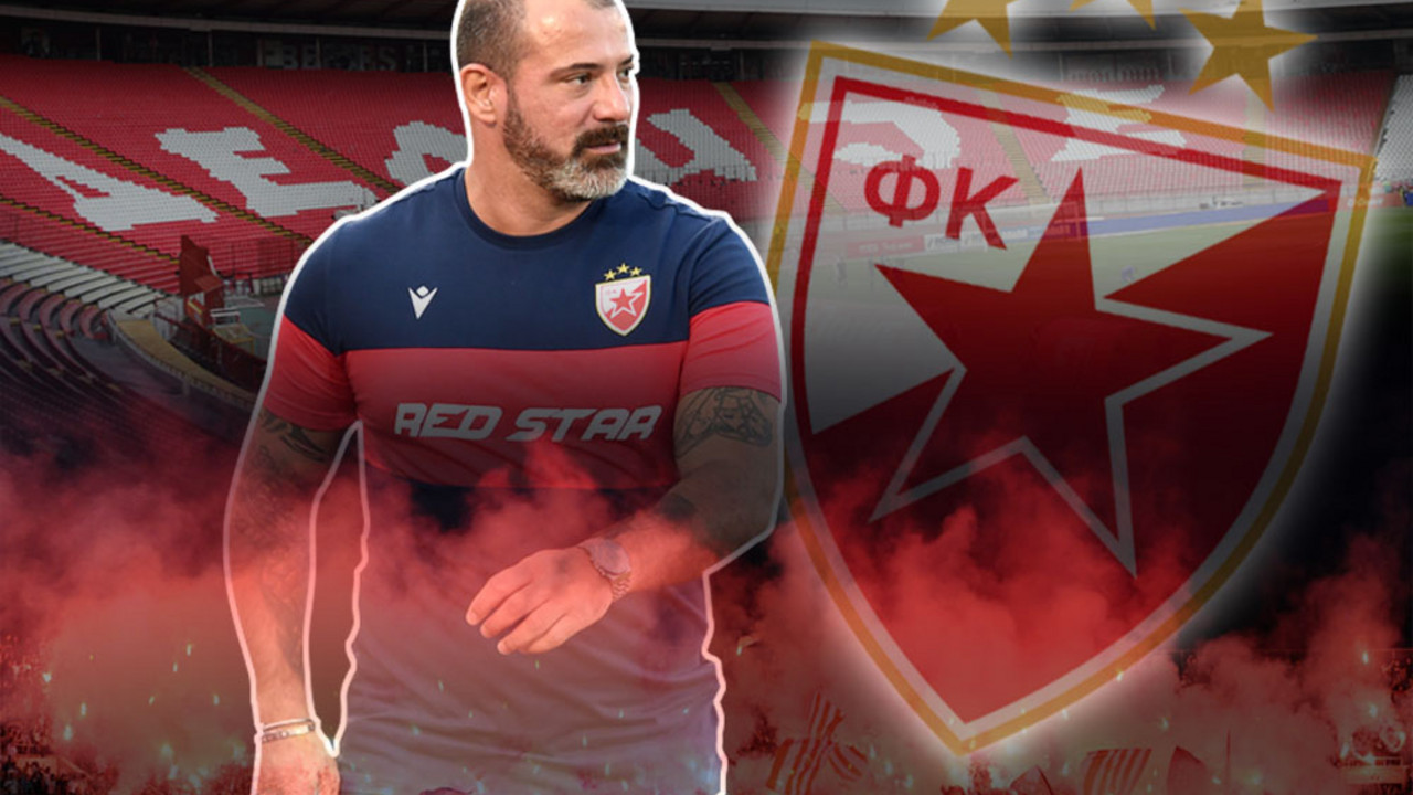 Dejan Stanković, FK Crvena zvezda