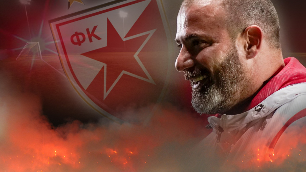 Dejan Stanković, FK Crvena zvezda