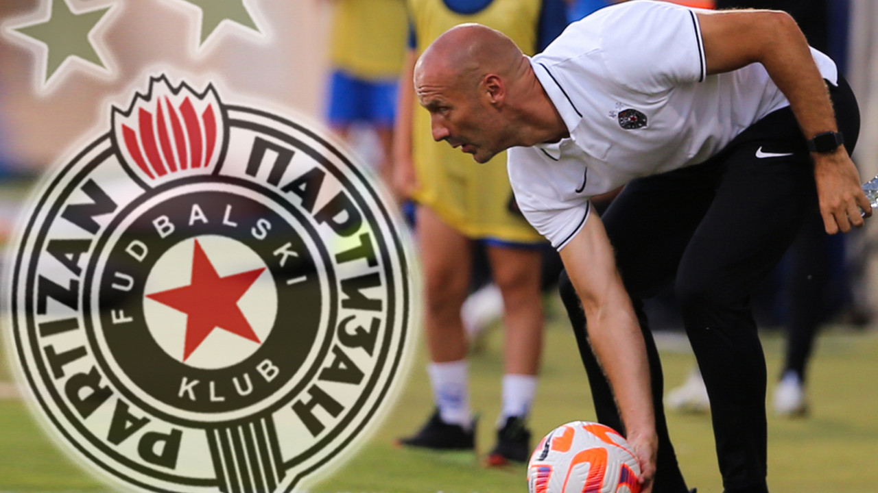 Ilija Stolica, FK Partizan