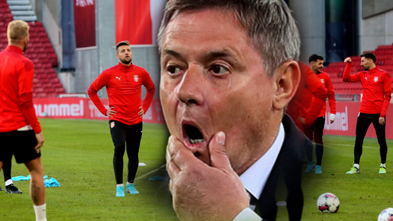 Dragan Stojković Piksi, Fudbalska reprezentacija Srbije