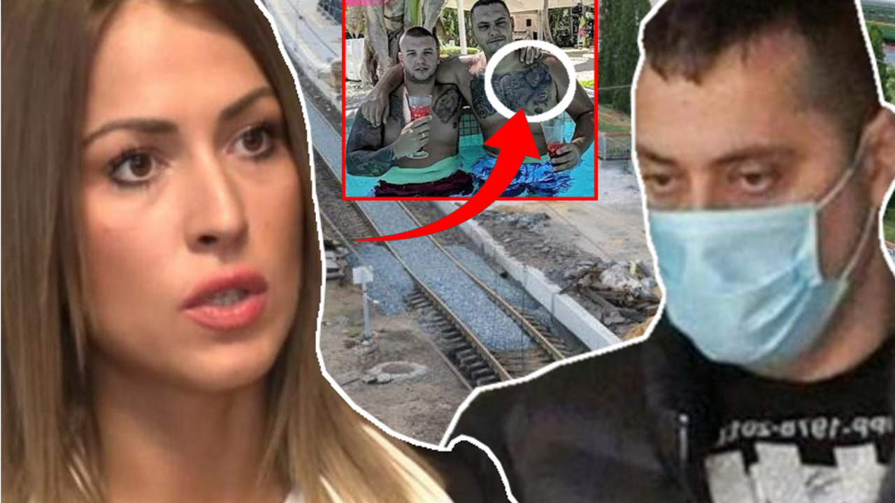 Dijana Hrkalović, Velja Nevolja, istraga