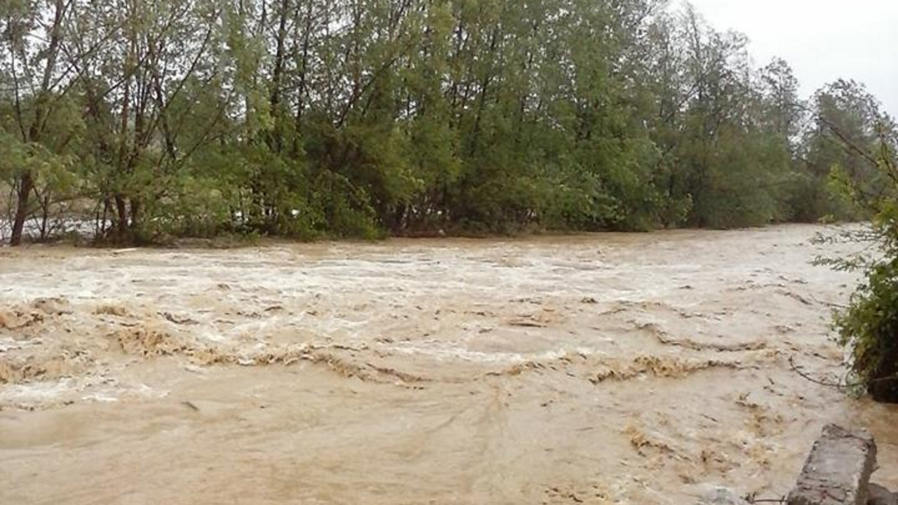 poplave