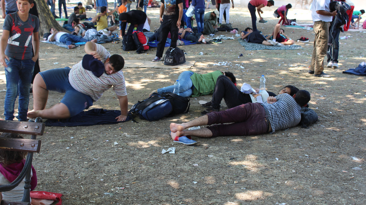 migranti