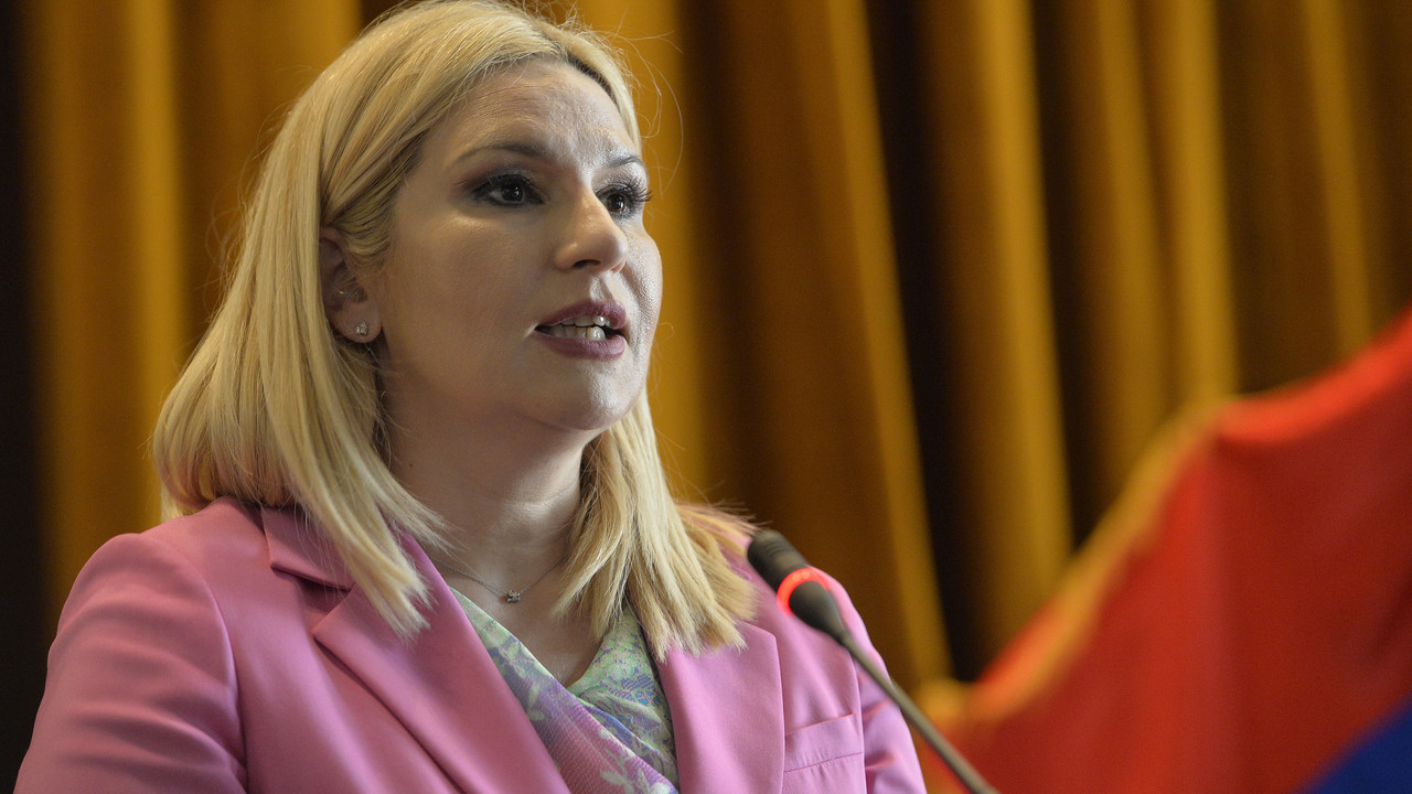 Zorana Mihajlović
