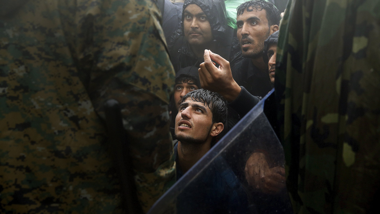 migranti