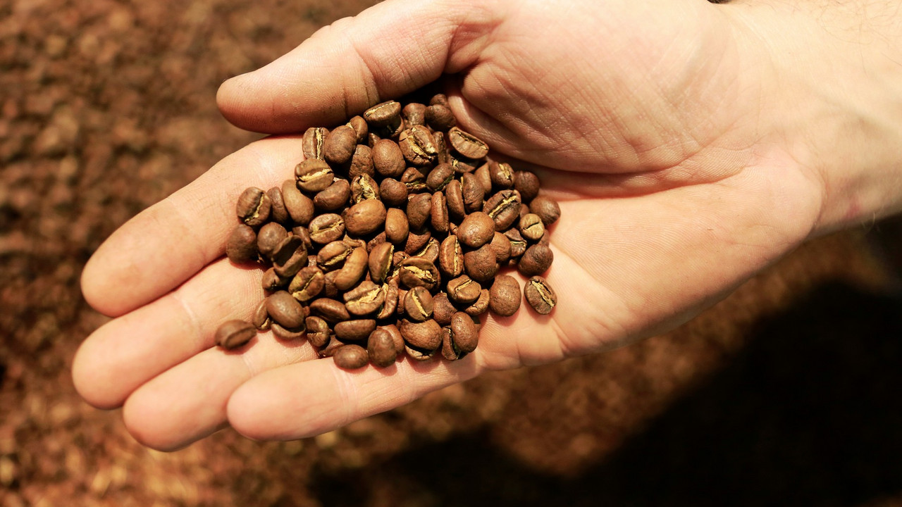 kafa