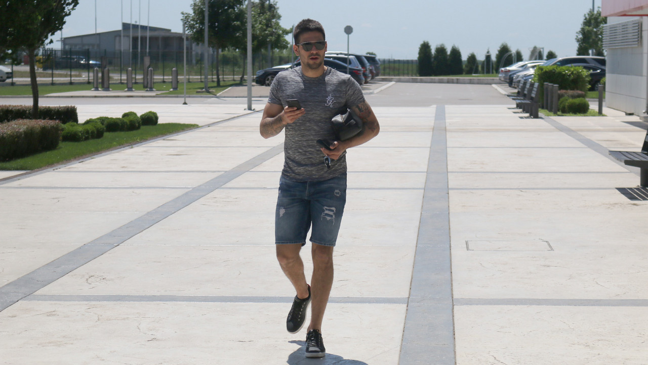 aleksandar-mitrovic
