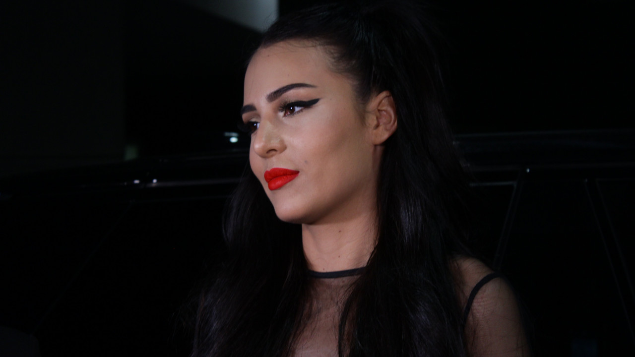 ceca-raznatovic
