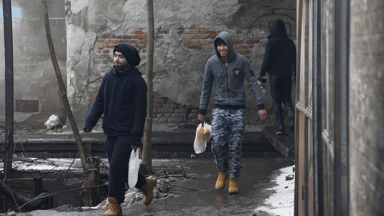 migranti