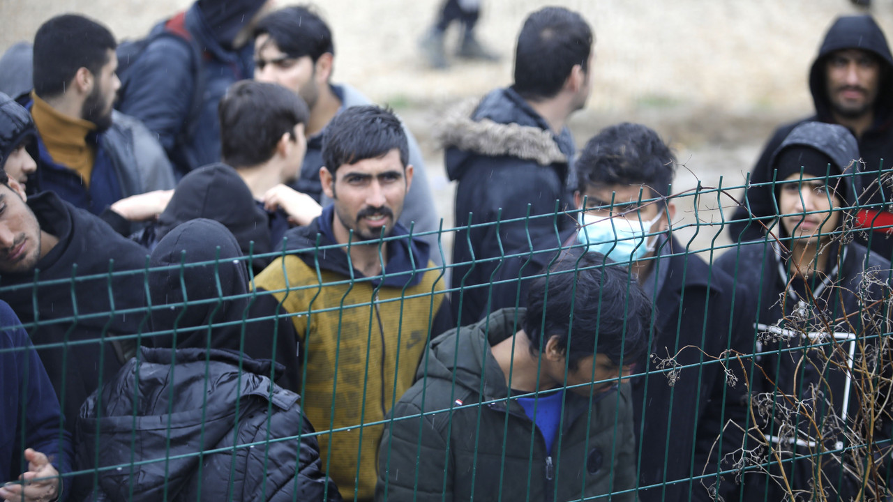 migranti