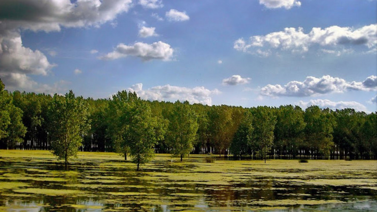 Panonsko more