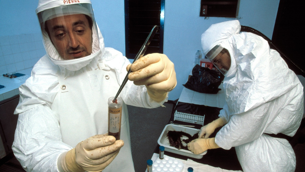 ebola