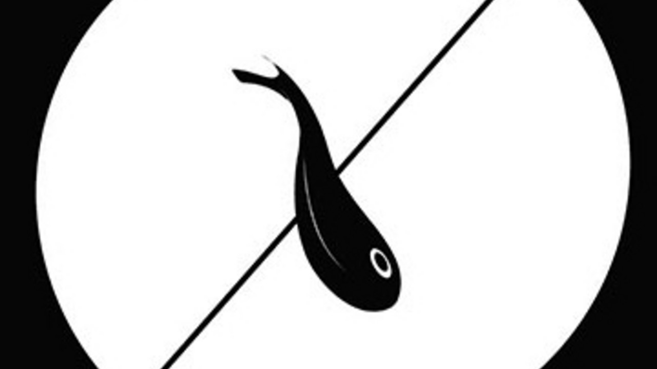 Fish in Oil
