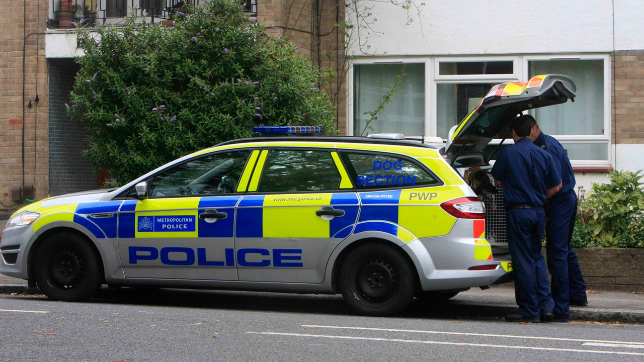 Britanska policija