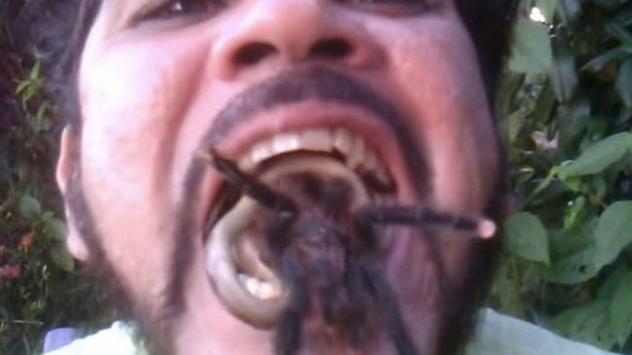 Tarantula i zmija u ustima