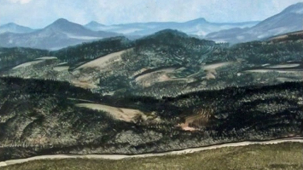 Momčilo Moma Marković