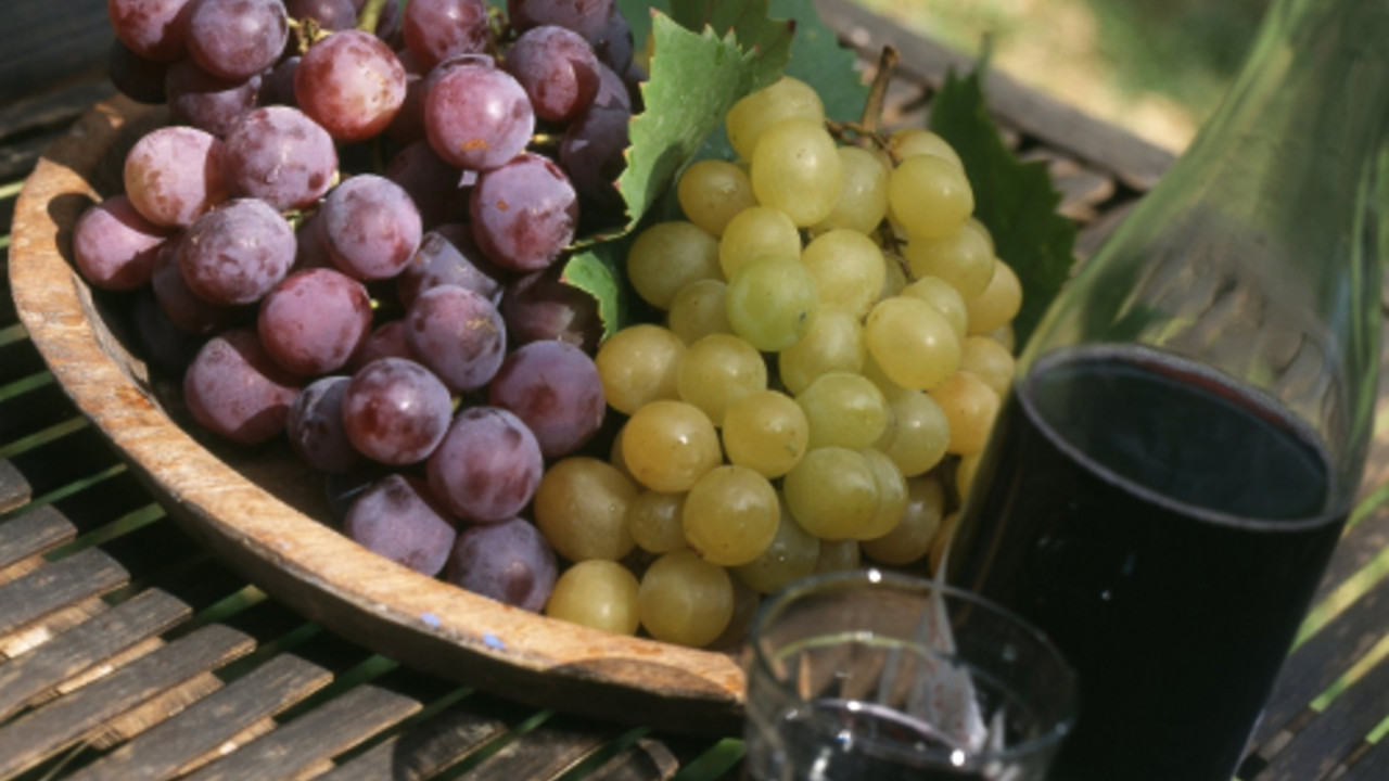 Vino